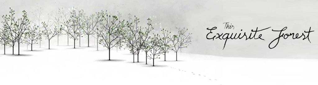 This Exquisite Forest